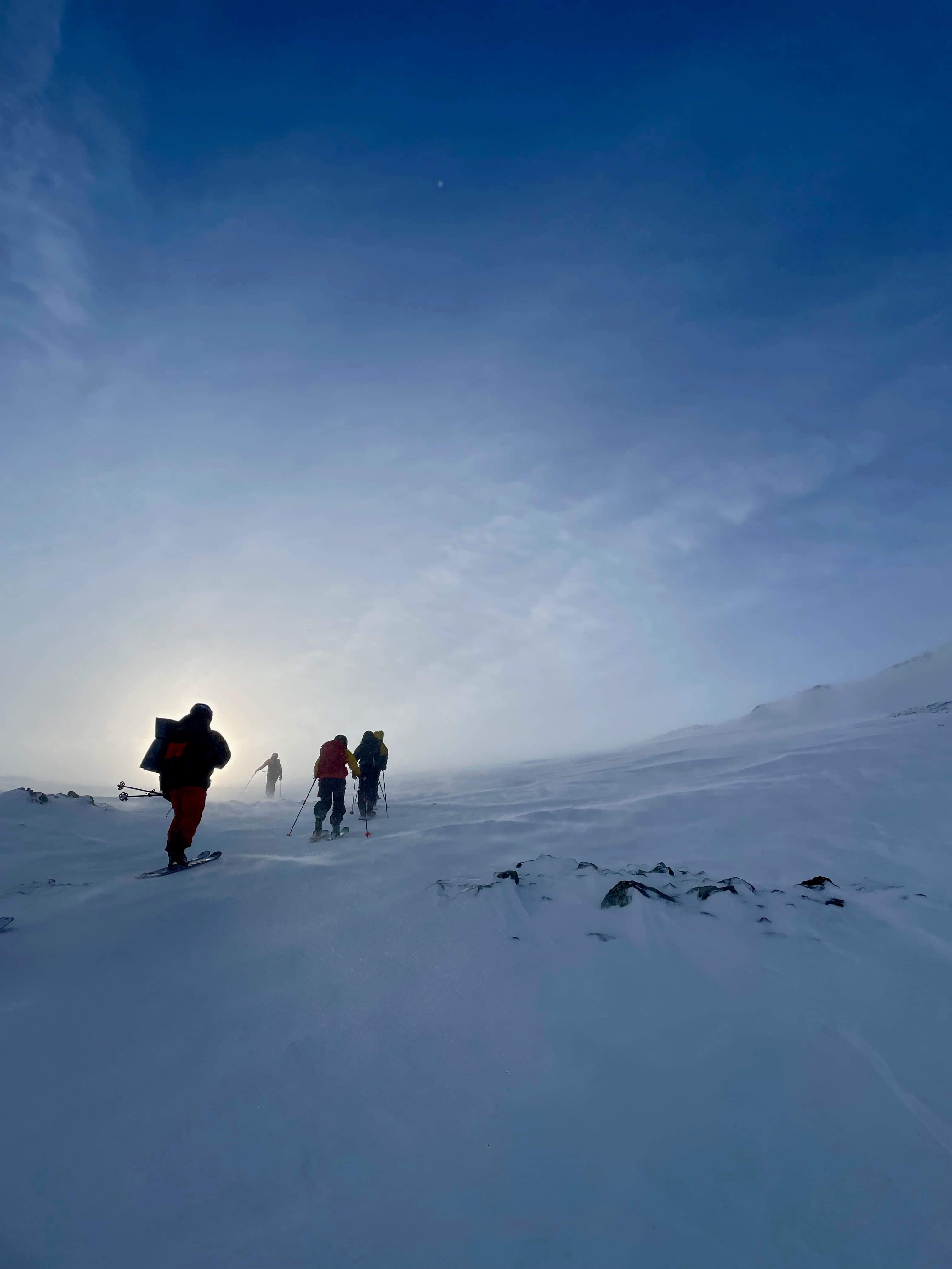 Skiers in snowy mountains with low sun